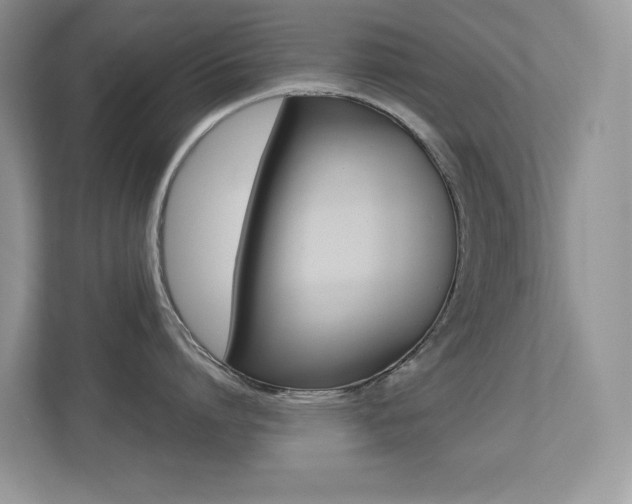 X0000113250864200909100941