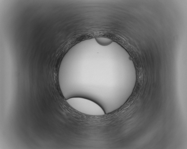 X0000113250866200909100941