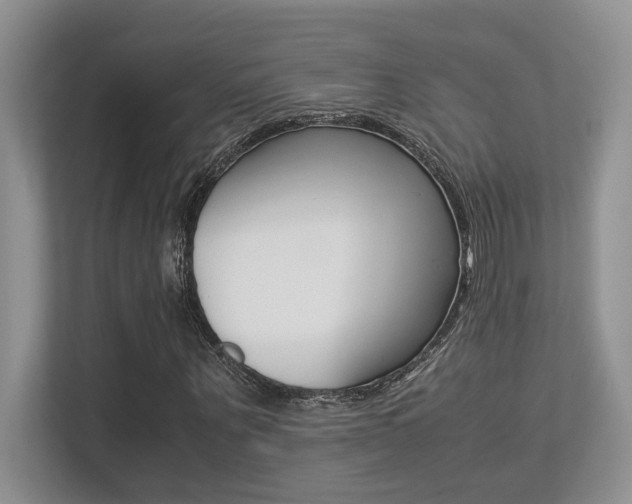 X0000113250867200909100941