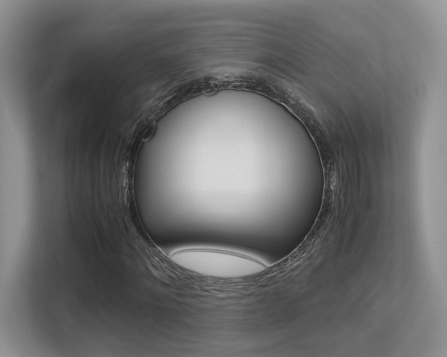 X0000113250868200909100941