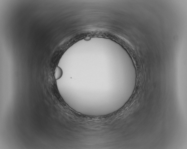 X0000113250869200909100941