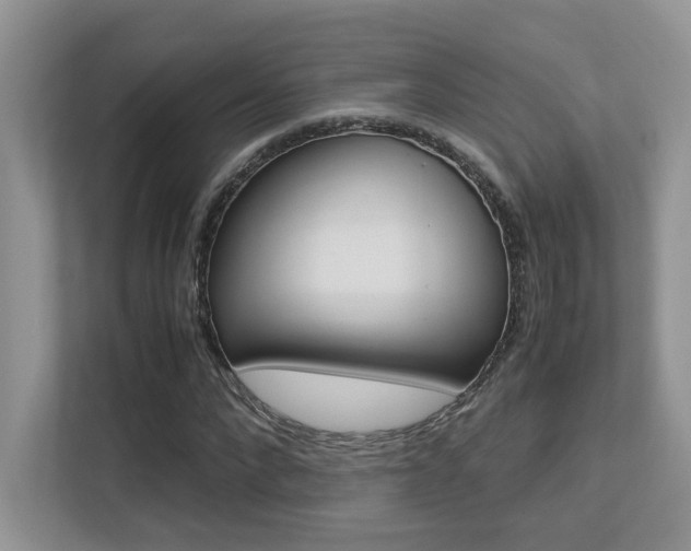 X0000113250872200909100941