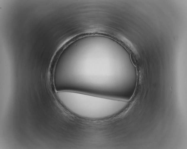 X0000113250876200909100941