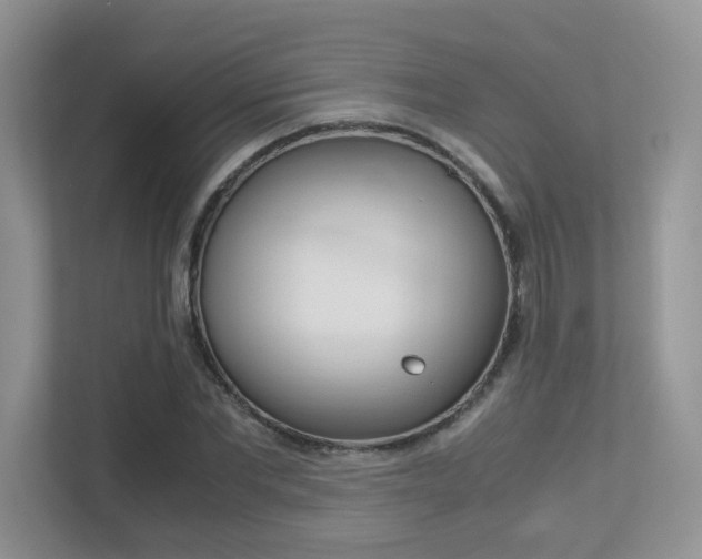 X0000113250877200909100941