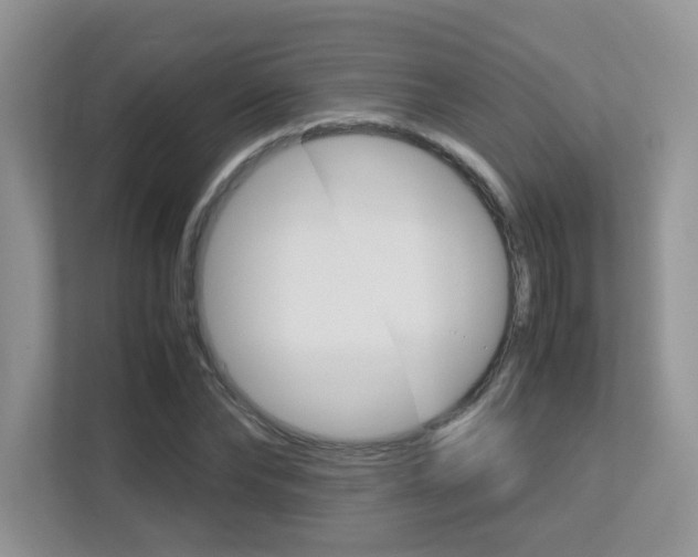X0000113250878200909100941