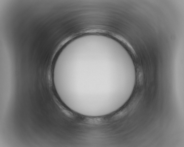 X0000113250882200909100940