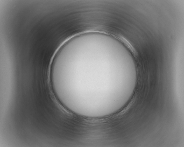 X0000113250884200909100940