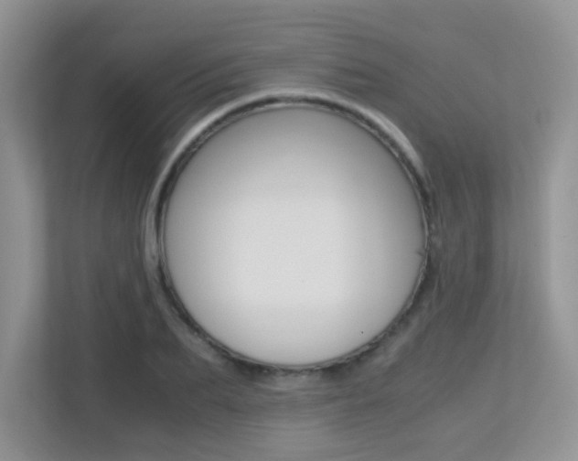 X0000113250887200909100940
