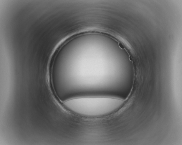 X0000113250888200909100940