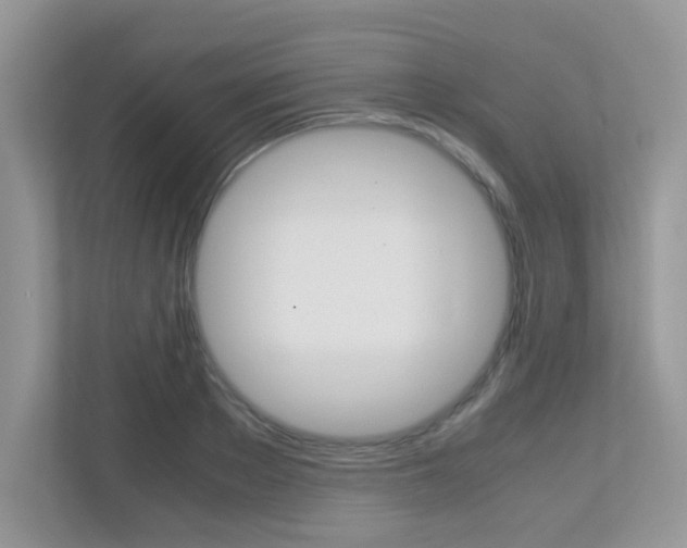 X0000113250889200909100940