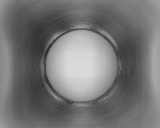 X0000113250890200909100940