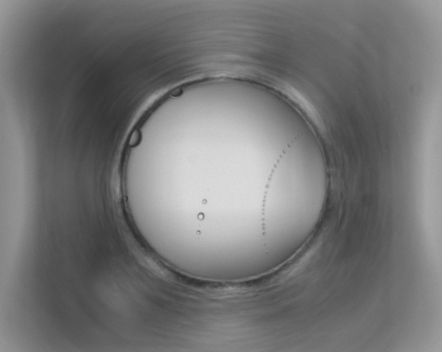 X0000113250891200909100940