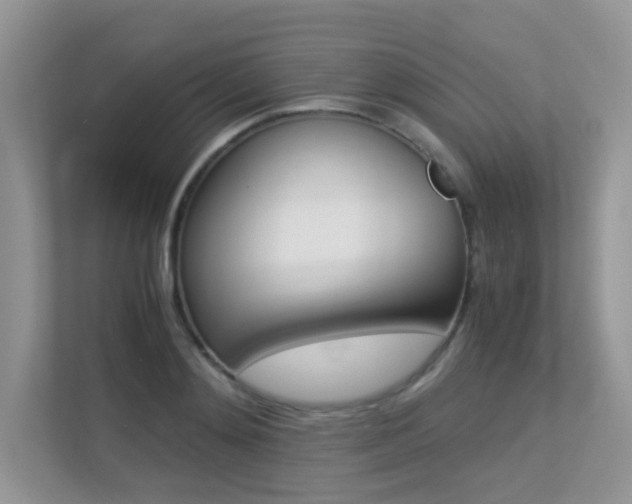 X0000113250892200909100940