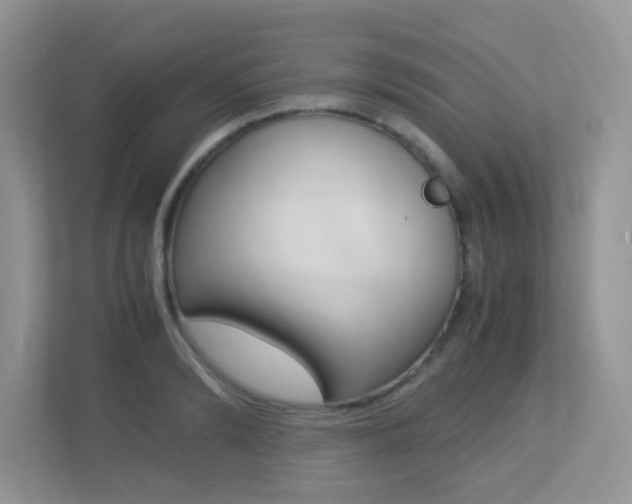 X0000113250894200909100940