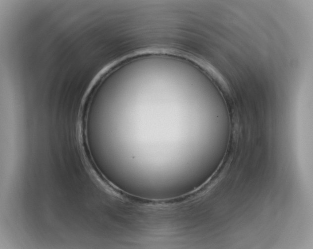X0000113250896200909100940