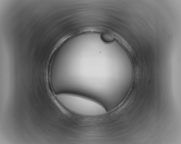 X0000113250898200909100940