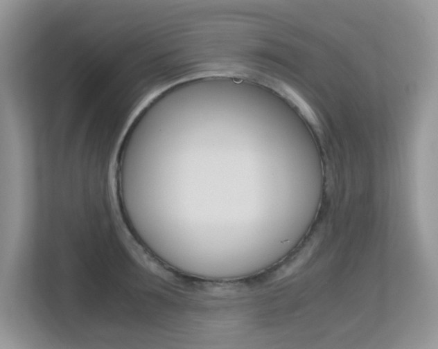 X0000113250899200909100940
