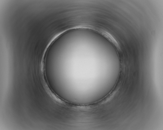 X0000113250900200909100940