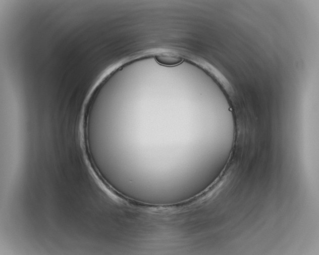 X0000113250902200909100940