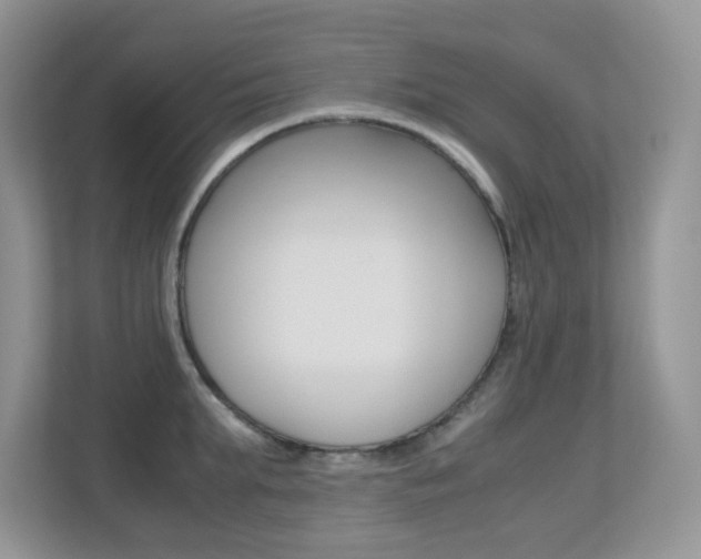 X0000113250903200909100940