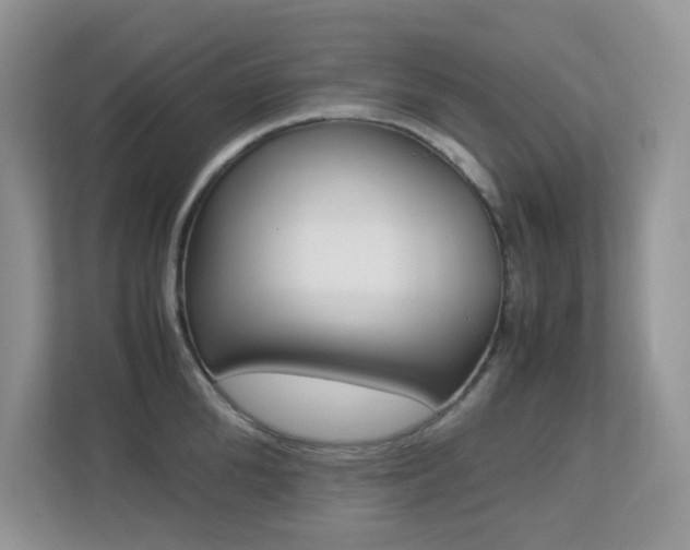 X0000113250904200909100940