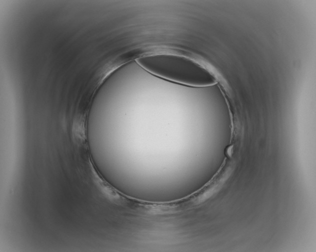 X0000113250905200909100940