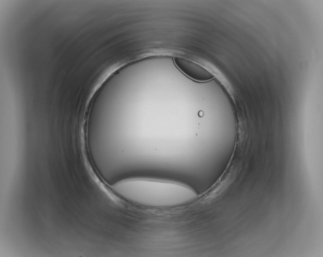 X0000113250906200909100940