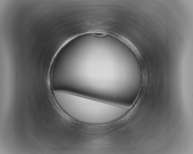 X0000113250908200909100940
