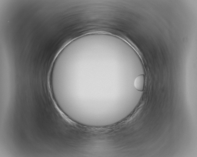 X0000113250909200909100940