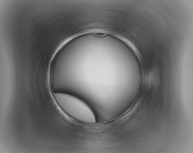 X0000113250910200909100940
