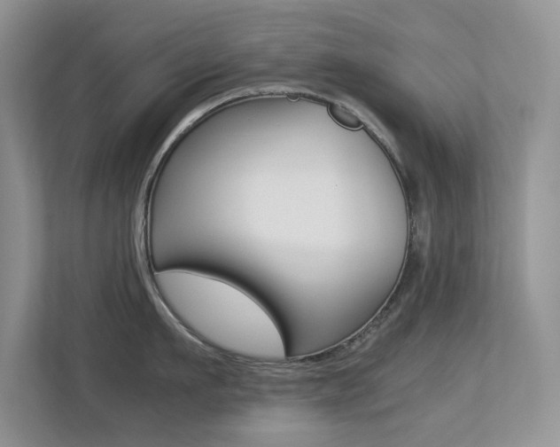 X0000113250911200909100940