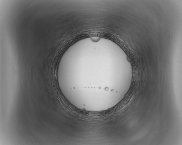 X0000113250913200909100939