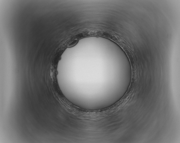 X0000113250914200909100939