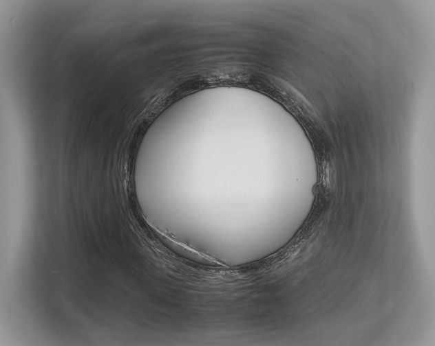 X0000113250915200909100939