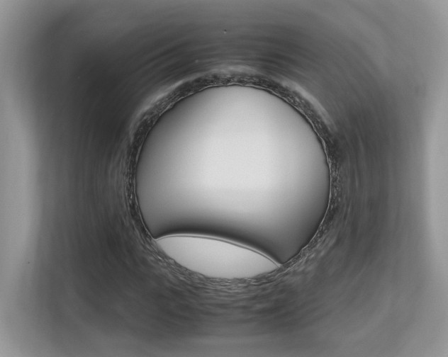 X0000113250919200909100940