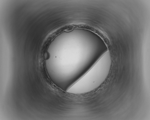 X0000113250920200909100940