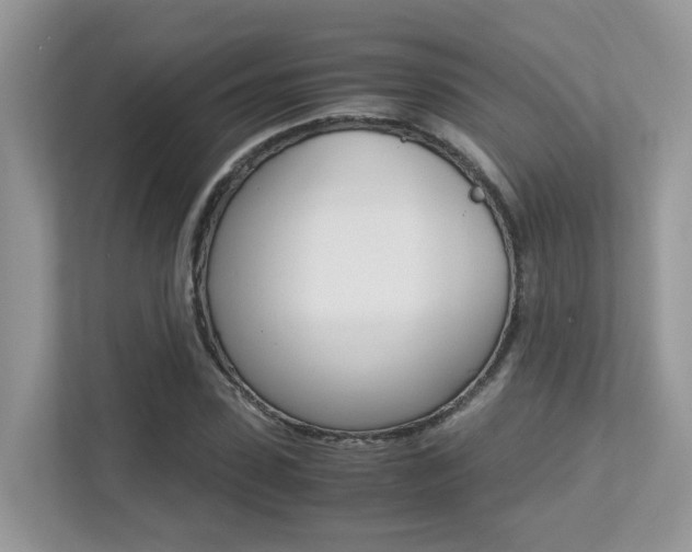 X0000113250923200909100940