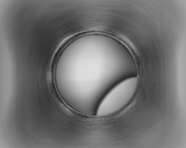 X0000113250924200909100940