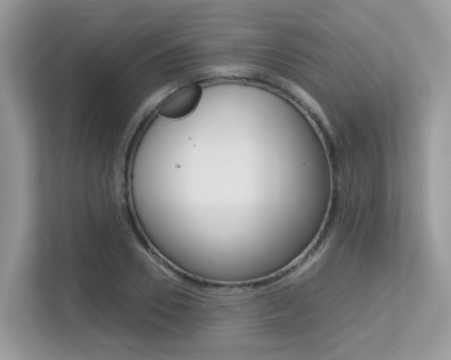 X0000113250930200909100940