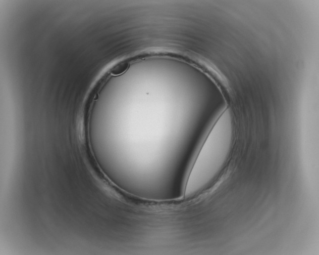 X0000113250934200909100940