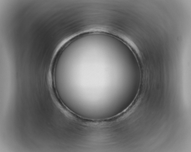 X0000113250936200909100940