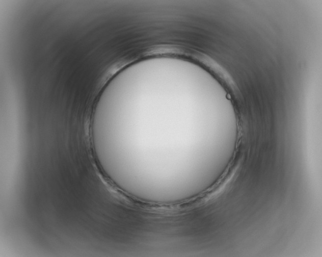 X0000113250937200909100940