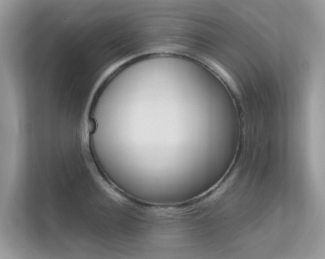 X0000113250940200909100940