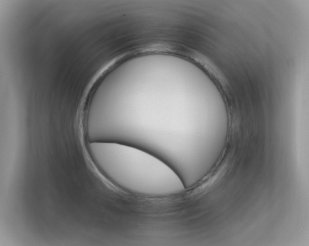 X0000113250941200909100940