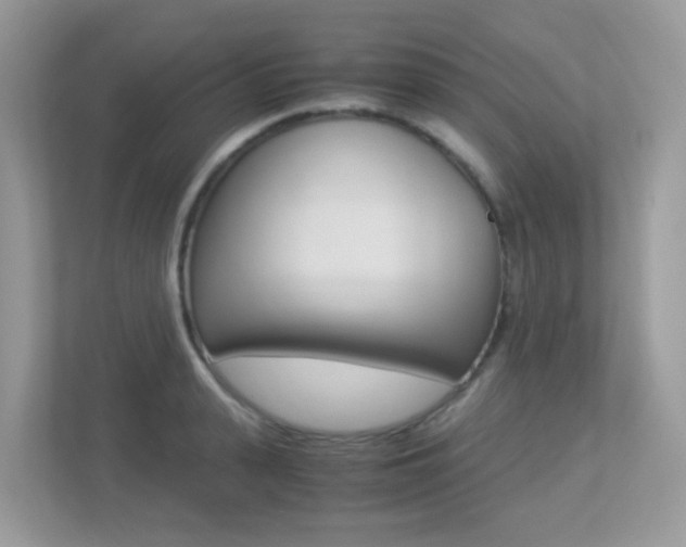 X0000113250943200909100940