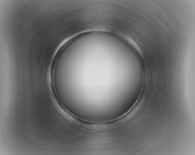 X0000113250944200909100940