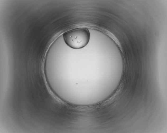 X0000113250946200909100940
