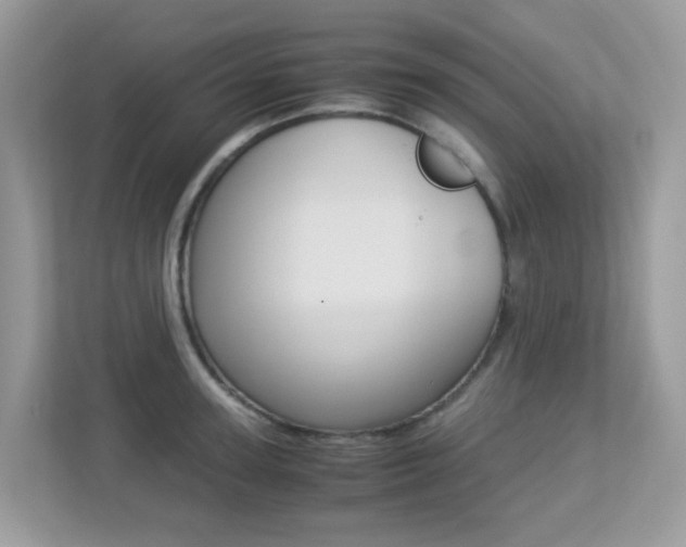 X0000113250947200909100940