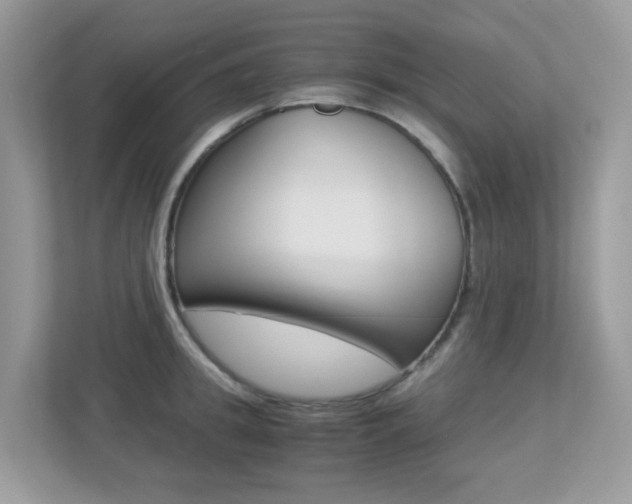 X0000113250949200909100940