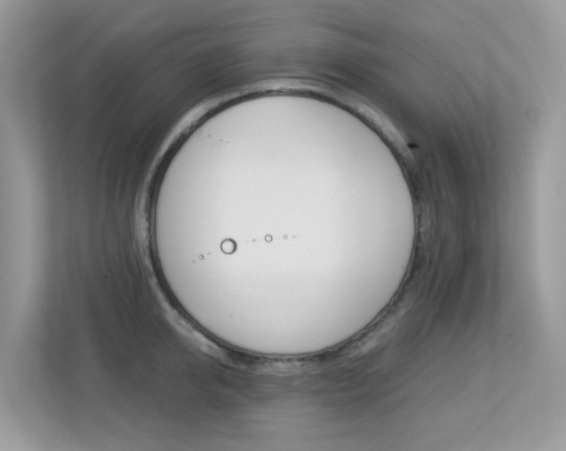 X0000113250950200909100940